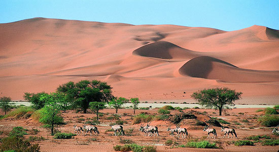 Namibia, Africa